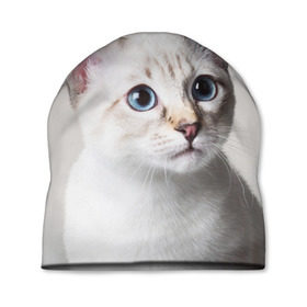 Шапка 3D с принтом Кошечка в Новосибирске, 100% полиэстер | универсальный размер, печать по всей поверхности изделия | кот | котики | котята | кошка | рыженький | рыжий | серенький | черненький