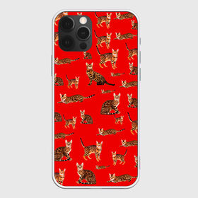 Чехол для iPhone 12 Pro Max с принтом Котейки дольче в Новосибирске, Силикон |  | dg | dolce | gabbana | габбана | дольче | киска | котенок | котик | кошечка | кошка