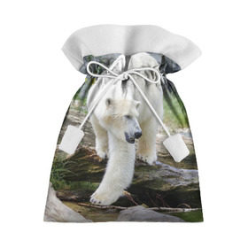 Подарочный 3D мешок с принтом Белый медведь в Новосибирске, 100% полиэстер | Размер: 29*39 см | арктика