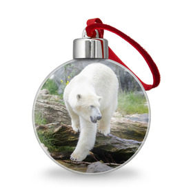 Ёлочный шар с принтом Белый медведь в Новосибирске, Пластик | Диаметр: 77 мм | арктика