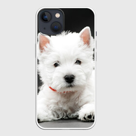 Чехол для iPhone 13 с принтом Вест хайленд уайт терьер в Новосибирске,  |  | вест хайленд уайт терьер | животное | порода | собака