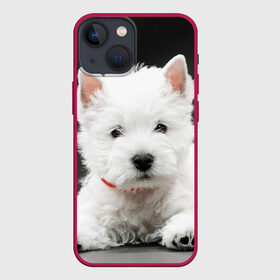 Чехол для iPhone 13 mini с принтом Вест хайленд уайт терьер в Новосибирске,  |  | вест хайленд уайт терьер | животное | порода | собака