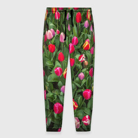 Мужские брюки 3D с принтом Тюльпанчики в Новосибирске, 100% полиэстер | манжеты по низу, эластичный пояс регулируется шнурком, по бокам два кармана без застежек, внутренняя часть кармана из мелкой сетки | зеленый | поле | природа | растения | тюльпаны | цветной | цветы