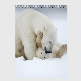 Скетчбук с принтом Идиллия в Новосибирске, 100% бумага
 | 48 листов, плотность листов — 100 г/м2, плотность картонной обложки — 250 г/м2. Листы скреплены сверху удобной пружинной спиралью | айсберг | арктика | животные | лёд | медведи | природа | север | снег