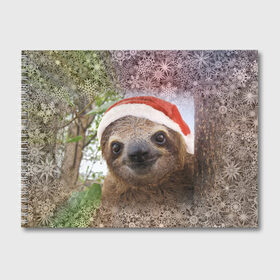 Альбом для рисования с принтом Рождественский ленивец в Новосибирске, 100% бумага
 | матовая бумага, плотность 200 мг. | Тематика изображения на принте: джунгли | животное | ленивый | лень | новый год | рождество | снег | снежинки | тропики | улыбка | шапка
