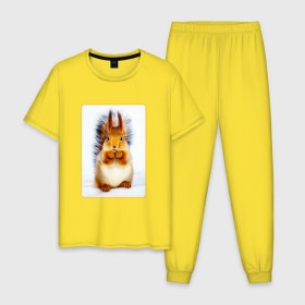 Мужская пижама хлопок с принтом Белка в Новосибирске, 100% хлопок | брюки и футболка прямого кроя, без карманов, на брюках мягкая резинка на поясе и по низу штанин
 | белка | дети | любовь | радость | ребенок