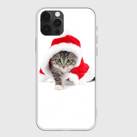 Чехол для iPhone 12 Pro Max с принтом Новогодняя Киса в Новосибирске, Силикон |  | cat | christmas | new year | winter | дед мороз | зима | кисы | кошки | новый год | рождество