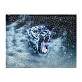 Обложка для студенческого билета с принтом Белый тигр в Новосибирске, натуральная кожа | Размер: 11*8 см; Печать на всей внешней стороне | Тематика изображения на принте: зима | клыки | метель | пасть | снег | тигр | хищник