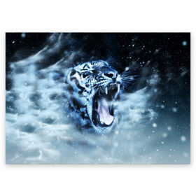 Поздравительная открытка с принтом Белый тигр в Новосибирске, 100% бумага | плотность бумаги 280 г/м2, матовая, на обратной стороне линовка и место для марки
 | зима | клыки | метель | пасть | снег | тигр | хищник