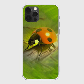 Чехол для iPhone 12 Pro Max с принтом Божья коровка в Новосибирске, Силикон |  | Тематика изображения на принте: божья коробка | букашка | жук | природа