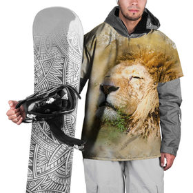 Накидка на куртку 3D с принтом Лев в Новосибирске, 100% полиэстер |  | зверь | лев | тигр | хищник