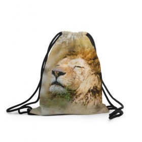 Рюкзак-мешок 3D с принтом Лев в Новосибирске, 100% полиэстер | плотность ткани — 200 г/м2, размер — 35 х 45 см; лямки — толстые шнурки, застежка на шнуровке, без карманов и подкладки | Тематика изображения на принте: зверь | лев | тигр | хищник
