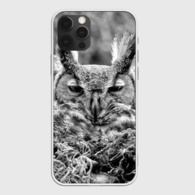 Чехол для iPhone 12 Pro Max с принтом Филин в Новосибирске, Силикон |  | bird | nest | night | nocturnal | owl | predator | гнездо | ночной | птица | сова | филин | хищник