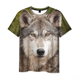 Мужская футболка 3D с принтом Волк в Новосибирске, 100% полиэфир | прямой крой, круглый вырез горловины, длина до линии бедер | animal | eyes | forest | predator | wild | wolf | взгляд | волк | дикий | животное | зверь | лес | хищник
