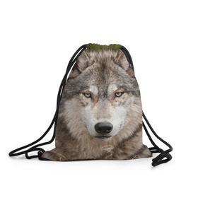 Рюкзак-мешок 3D с принтом Волк в Новосибирске, 100% полиэстер | плотность ткани — 200 г/м2, размер — 35 х 45 см; лямки — толстые шнурки, застежка на шнуровке, без карманов и подкладки | animal | eyes | forest | predator | wild | wolf | взгляд | волк | дикий | животное | зверь | лес | хищник