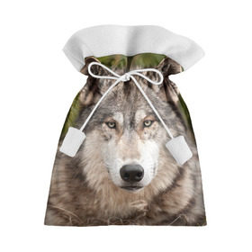 Подарочный 3D мешок с принтом Волк в Новосибирске, 100% полиэстер | Размер: 29*39 см | Тематика изображения на принте: animal | eyes | forest | predator | wild | wolf | взгляд | волк | дикий | животное | зверь | лес | хищник
