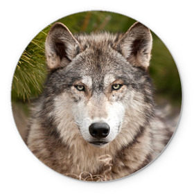 Коврик круглый с принтом Волк в Новосибирске, резина и полиэстер | круглая форма, изображение наносится на всю лицевую часть | animal | eyes | forest | predator | wild | wolf | взгляд | волк | дикий | животное | зверь | лес | хищник