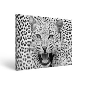 Холст прямоугольный с принтом Леопард в Новосибирске, 100% ПВХ |  | animal | eyes | jaws | leopard | malicious | predator | spotted | teeth | wild | взгляд | дикий | животное | злой | клыки | леопард | оскал | пасть | пятнистый | хищник