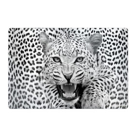 Магнитный плакат 3Х2 с принтом Леопард в Новосибирске, Полимерный материал с магнитным слоем | 6 деталей размером 9*9 см | Тематика изображения на принте: animal | eyes | jaws | leopard | malicious | predator | spotted | teeth | wild | взгляд | дикий | животное | злой | клыки | леопард | оскал | пасть | пятнистый | хищник