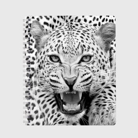 Тетрадь с принтом Леопард в Новосибирске, 100% бумага | 48 листов, плотность листов — 60 г/м2, плотность картонной обложки — 250 г/м2. Листы скреплены сбоку удобной пружинной спиралью. Уголки страниц и обложки скругленные. Цвет линий — светло-серый
 | animal | eyes | jaws | leopard | malicious | predator | spotted | teeth | wild | взгляд | дикий | животное | злой | клыки | леопард | оскал | пасть | пятнистый | хищник