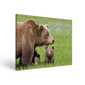 Холст прямоугольный с принтом Медведи в Новосибирске, 100% ПВХ |  | animals | bears | children | family | green | meadow | mother | predators | дети | животные | зеленая | мама | медведи | поляна | семья | хищники