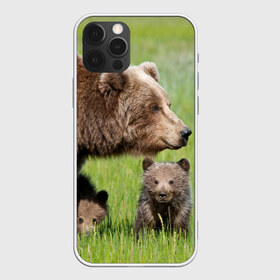 Чехол для iPhone 12 Pro Max с принтом Медведи в Новосибирске, Силикон |  | animals | bears | children | family | green | meadow | mother | predators | дети | животные | зеленая | мама | медведи | поляна | семья | хищники