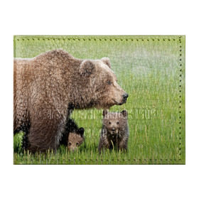 Обложка для студенческого билета с принтом Медведи в Новосибирске, натуральная кожа | Размер: 11*8 см; Печать на всей внешней стороне | Тематика изображения на принте: animals | bears | children | family | green | meadow | mother | predators | дети | животные | зеленая | мама | медведи | поляна | семья | хищники