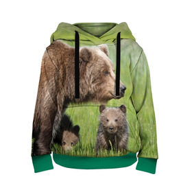 Детская толстовка 3D с принтом Медведи в Новосибирске, 100% полиэстер | двухслойный капюшон со шнурком для регулировки, мягкие манжеты на рукавах и по низу толстовки, спереди карман-кенгуру с мягким внутренним слоем | animals | bears | children | family | green | meadow | mother | predators | дети | животные | зеленая | мама | медведи | поляна | семья | хищники
