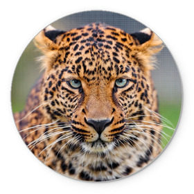 Коврик круглый с принтом Леопард в Новосибирске, резина и полиэстер | круглая форма, изображение наносится на всю лицевую часть | Тематика изображения на принте: animal | leopard | look | predator | spotted | wild | взгляд | дикий | животное | леопард | пятнистый | хищник