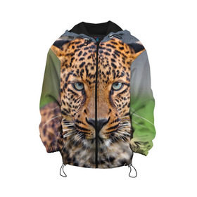 Детская куртка 3D с принтом Леопард в Новосибирске, 100% полиэстер | застежка — молния, подол и капюшон оформлены резинкой с фиксаторами, по бокам — два кармана без застежек, один потайной карман на груди, плотность верхнего слоя — 90 г/м2; плотность флисового подклада — 260 г/м2 | Тематика изображения на принте: animal | leopard | look | predator | spotted | wild | взгляд | дикий | животное | леопард | пятнистый | хищник