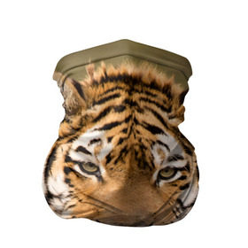 Бандана-труба 3D с принтом Тигр в Новосибирске, 100% полиэстер, ткань с особыми свойствами — Activecool | плотность 150‒180 г/м2; хорошо тянется, но сохраняет форму | animal | predator | striped | tiger | view | wild | взгляд | дикий | животное | полосатый | тигр | хищник