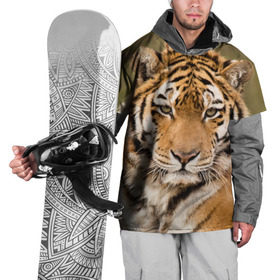 Накидка на куртку 3D с принтом Тигр в Новосибирске, 100% полиэстер |  | animal | predator | striped | tiger | view | wild | взгляд | дикий | животное | полосатый | тигр | хищник