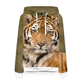 Женская толстовка 3D с принтом Тигр в Новосибирске, 100% полиэстер  | двухслойный капюшон со шнурком для регулировки, мягкие манжеты на рукавах и по низу толстовки, спереди карман-кенгуру с мягким внутренним слоем. | animal | predator | striped | tiger | view | wild | взгляд | дикий | животное | полосатый | тигр | хищник