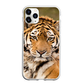 Чехол для iPhone 11 Pro матовый с принтом Тигр в Новосибирске, Силикон |  | animal | predator | striped | tiger | view | wild | взгляд | дикий | животное | полосатый | тигр | хищник