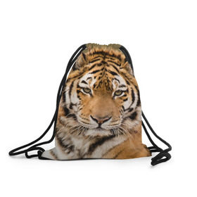Рюкзак-мешок 3D с принтом Тигр в Новосибирске, 100% полиэстер | плотность ткани — 200 г/м2, размер — 35 х 45 см; лямки — толстые шнурки, застежка на шнуровке, без карманов и подкладки | animal | predator | striped | tiger | view | wild | взгляд | дикий | животное | полосатый | тигр | хищник