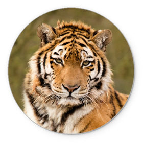 Коврик круглый с принтом Тигр в Новосибирске, резина и полиэстер | круглая форма, изображение наносится на всю лицевую часть | animal | predator | striped | tiger | view | wild | взгляд | дикий | животное | полосатый | тигр | хищник
