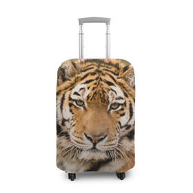 Чехол для чемодана 3D с принтом Тигр в Новосибирске, 86% полиэфир, 14% спандекс | двустороннее нанесение принта, прорези для ручек и колес | animal | predator | striped | tiger | view | wild | взгляд | дикий | животное | полосатый | тигр | хищник