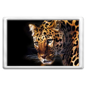 Магнит 45*70 с принтом Леопард в Новосибирске, Пластик | Размер: 78*52 мм; Размер печати: 70*45 | animal | leopard | look | predator | spotted | wild | взгляд | дикий | животное | леопард | пятнистый | хищник