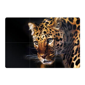 Магнитный плакат 3Х2 с принтом Леопард в Новосибирске, Полимерный материал с магнитным слоем | 6 деталей размером 9*9 см | animal | leopard | look | predator | spotted | wild | взгляд | дикий | животное | леопард | пятнистый | хищник