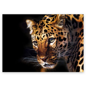 Поздравительная открытка с принтом Леопард в Новосибирске, 100% бумага | плотность бумаги 280 г/м2, матовая, на обратной стороне линовка и место для марки
 | animal | leopard | look | predator | spotted | wild | взгляд | дикий | животное | леопард | пятнистый | хищник