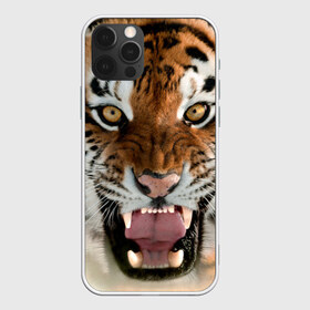 Чехол для iPhone 12 Pro Max с принтом Тигр в Новосибирске, Силикон |  | animal | predator | striped | tiger | view | wild | взгляд | дикий | животное | полосатый | тигр | хищник