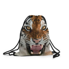 Рюкзак-мешок 3D с принтом Тигр в Новосибирске, 100% полиэстер | плотность ткани — 200 г/м2, размер — 35 х 45 см; лямки — толстые шнурки, застежка на шнуровке, без карманов и подкладки | animal | predator | striped | tiger | view | wild | взгляд | дикий | животное | полосатый | тигр | хищник