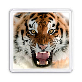Магнит 55*55 с принтом Тигр в Новосибирске, Пластик | Размер: 65*65 мм; Размер печати: 55*55 мм | animal | predator | striped | tiger | view | wild | взгляд | дикий | животное | полосатый | тигр | хищник