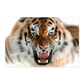 Магнитный плакат 3Х2 с принтом Тигр в Новосибирске, Полимерный материал с магнитным слоем | 6 деталей размером 9*9 см | Тематика изображения на принте: animal | predator | striped | tiger | view | wild | взгляд | дикий | животное | полосатый | тигр | хищник