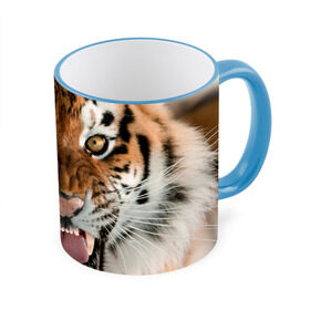 Кружка 3D с принтом Тигр в Новосибирске, керамика | ёмкость 330 мл | animal | predator | striped | tiger | view | wild | взгляд | дикий | животное | полосатый | тигр | хищник