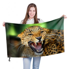 Флаг 3D с принтом Леопард в Новосибирске, 100% полиэстер | плотность ткани — 95 г/м2, размер — 67 х 109 см. Принт наносится с одной стороны | animal | leopard | look | predator | spotted | wild | взгляд | дикий | животное | леопард | пятнистый | хищник