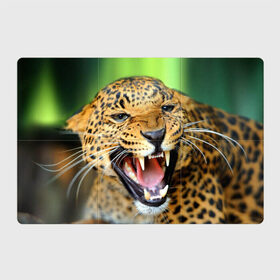 Магнитный плакат 3Х2 с принтом Леопард в Новосибирске, Полимерный материал с магнитным слоем | 6 деталей размером 9*9 см | Тематика изображения на принте: animal | leopard | look | predator | spotted | wild | взгляд | дикий | животное | леопард | пятнистый | хищник