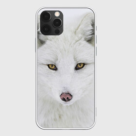 Чехол для iPhone 12 Pro Max с принтом Полярная лиса в Новосибирске, Силикон |  | animal | polar fox | predator | sly | white | wild | белая | дикая | животное | лиса | полярная | хитрая | хищник