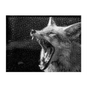 Обложка для студенческого билета с принтом Лиса в Новосибирске, натуральная кожа | Размер: 11*8 см; Печать на всей внешней стороне | animal | bw | fox | jaws | predator | sly | teeth | wild | yawn | дикая | животное | зевает | зубы | лиса | пасть | хитрая | хищник | чб