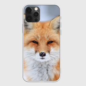 Чехол для iPhone 12 Pro Max с принтом Лиса в Новосибирске, Силикон |  | Тематика изображения на принте: animal | fox | look | predator | red | sly | wild | взгляд | дикая | животное | лиса | рыжая | хитрая | хищник